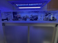 IMG_7903.jpeg