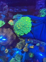 IMG_0594.jpeg