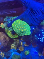 IMG_0595.jpeg