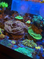 IMG_0604.jpeg