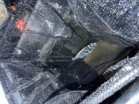 IMG_4583.jpeg