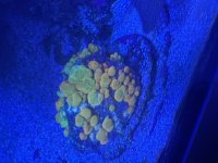 IMG_3131.jpeg