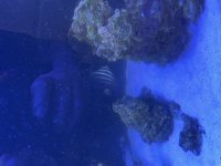 IMG_1551.jpeg