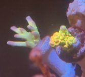 IMG_4711.jpeg