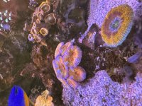 IMG_0304.jpeg