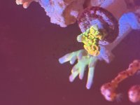IMG_4704.jpeg