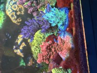 IMG_8596.jpeg