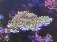 IMG_3991.JPG