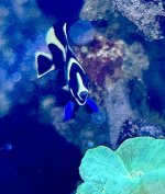 IMG_9600.jpeg