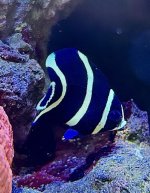 IMG_9599.jpeg