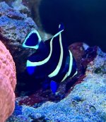 IMG_9598.jpeg