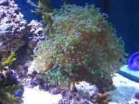 img_2952.jpg