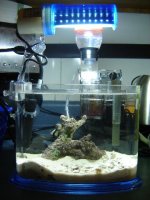 4-8-08 sm tank.jpg