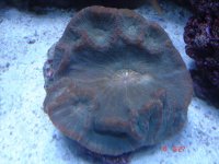 DSC04995.jpg