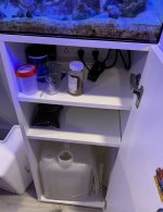 IMG_0536.jpeg