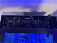 IMG_0535.jpeg