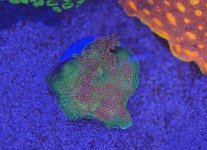 IMG_5076.jpg