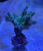 IMG_0051.jpeg
