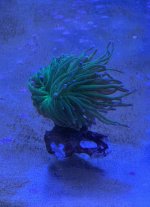 IMG_0050.jpeg