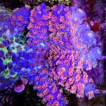 IMG_6268.jpeg