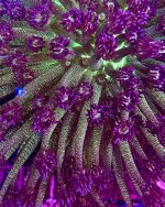 6E70622A-928E-4161-9720-0AC38403650A.jpeg