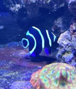 IMG_9675.jpeg