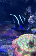 IMG_9673.jpeg