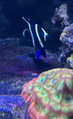 IMG_9674.jpeg