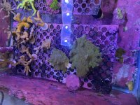 IMG_1228.jpeg