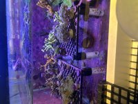 IMG_1231.jpeg
