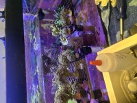 IMG_1233.jpeg