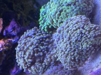 IMG_1102.jpeg