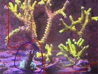 IMG_7255.jpeg