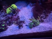 IMG_7248.jpeg