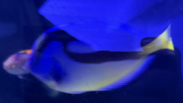1773670784600.png