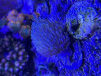 IMG_4131.jpeg