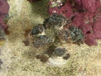 IMG_3463.jpeg