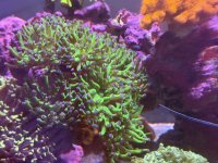 IMG_3472.jpeg