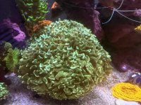 IMG_3471.jpeg