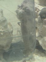 PXL_20260319_004246255.jpg