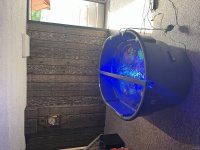 IMG_3575.JPG