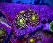 IMG_6035.jpeg