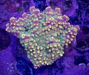 IMG_6162.jpeg