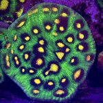 IMG_6204.jpeg
