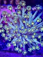 IMG_6099.jpeg