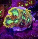 IMG_6027.jpeg