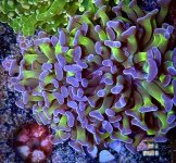 IMG_5926.jpeg