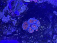 IMG_0689.jpeg