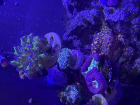 IMG_0690.jpeg