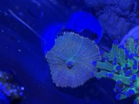 IMG_0700.jpeg